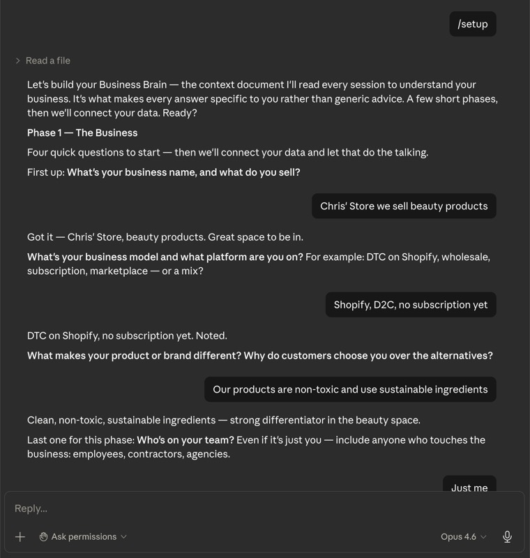 Building your Business Brain — guided setup conversation